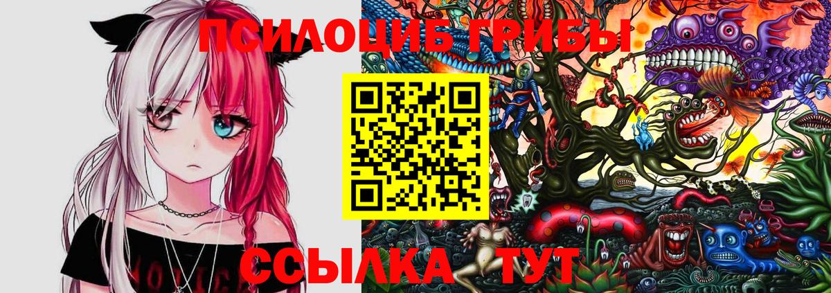 Галлюциногенные грибы Cubensis Арзамас