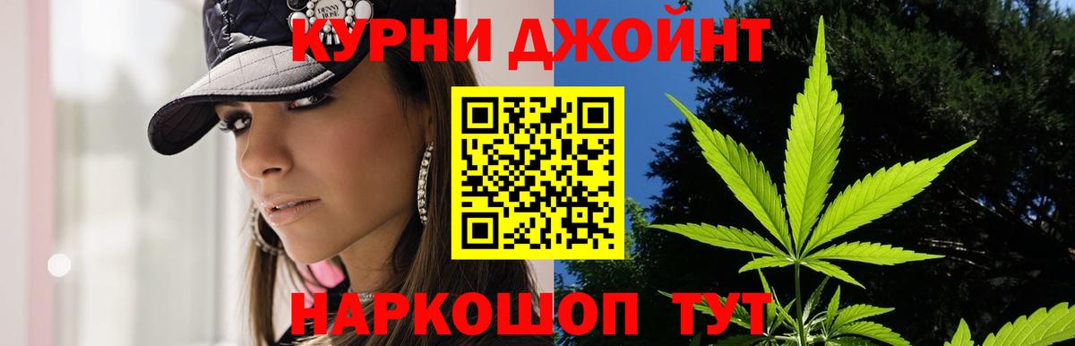 Бошки марихуана конопля  Вход с VPN  Бошки марихуана Bruce Banner  Арзамас 
